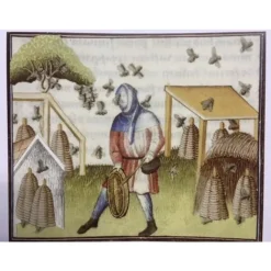 Burgschneider Chaperon Curt Brun -Vêtements Viking Soldes Magasin chaperon curt brun 2