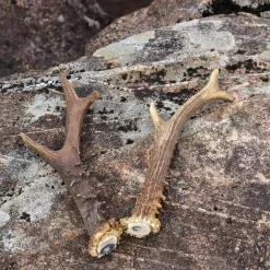 Ensemble De 2 Bois -Vêtements Viking Soldes Magasin ensemble de 2 bois 4